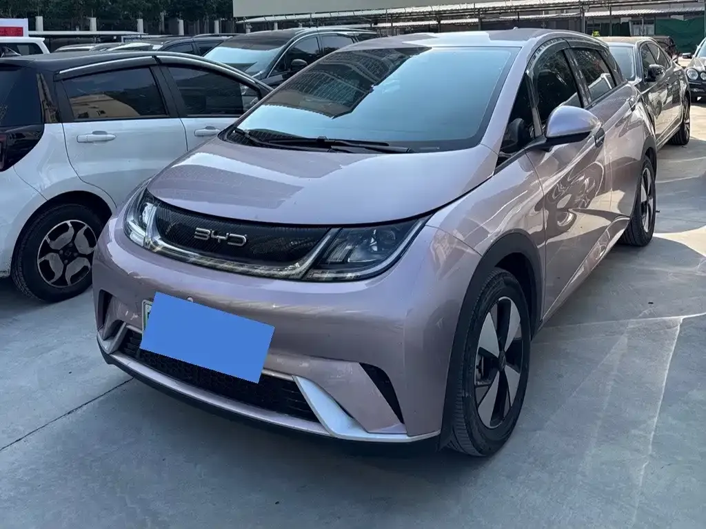 2023 BYD Dolphin 420km Freedom