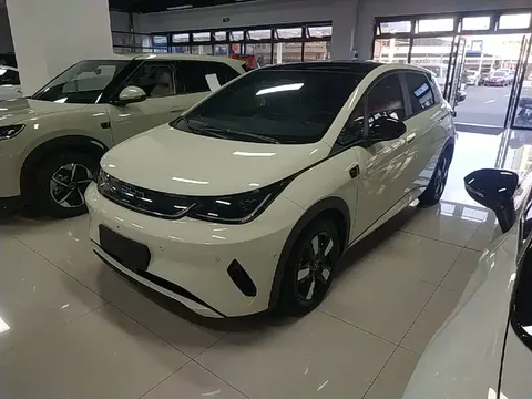 2025 BYD Dolphin Smart Driving 410km Fashion