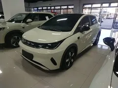 2025 BYD Dolphin Smart Driving 410km Fashion — фото 2