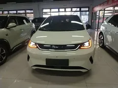 2025 BYD Dolphin Smart Driving 410km Fashion — фото 3