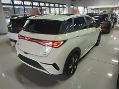 2025 BYD Dolphin Smart Driving 410km Fashion — фото 7