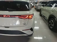 2025 BYD Dolphin Smart Driving 410km Fashion — фото 8