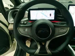 2025 BYD Dolphin Smart Driving 410km Fashion — фото 11