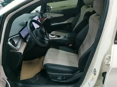 2025 BYD Dolphin Smart Driving 410km Fashion — фото 15