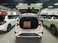 2025 BYD Dolphin Smart Driving 410km Fashion — фото 19