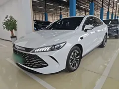 2025 BYD Qin PLUS DM-i PHEV 55km Exceed Smart Driving, белый — фото 2