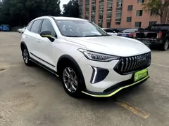 2022 Haval Chitu 1.5T, белый — фото 4