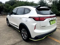 2022 Haval Chitu 1.5T, белый — фото 5