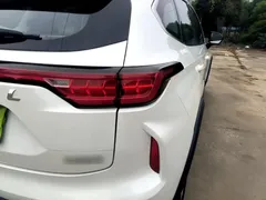 2022 Haval Chitu 1.5T, белый — фото 8