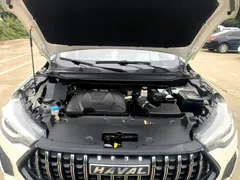 2022 Haval Chitu 1.5T, белый — фото 20