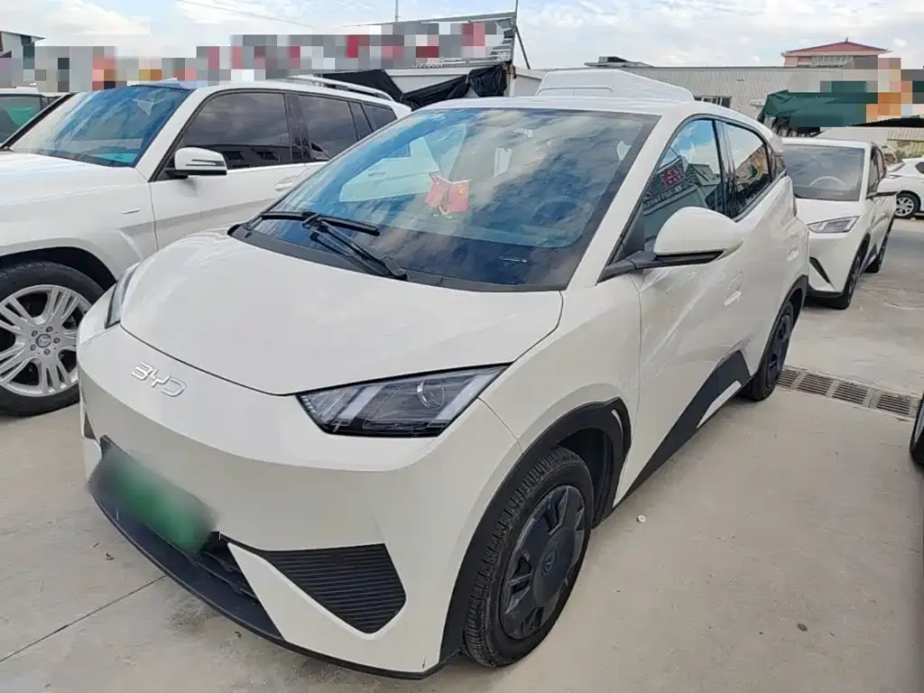 2025 BYD Seagull 305km Vitality