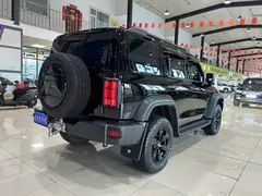 2023 Tank 300 Off-road 2.0T Conqueror, чёрный — фото 15