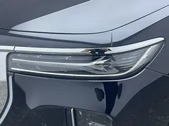 2025 Hongqi H9 2.0T 2WD Premium Luxury Business 5-seat, чёрный — фото 11