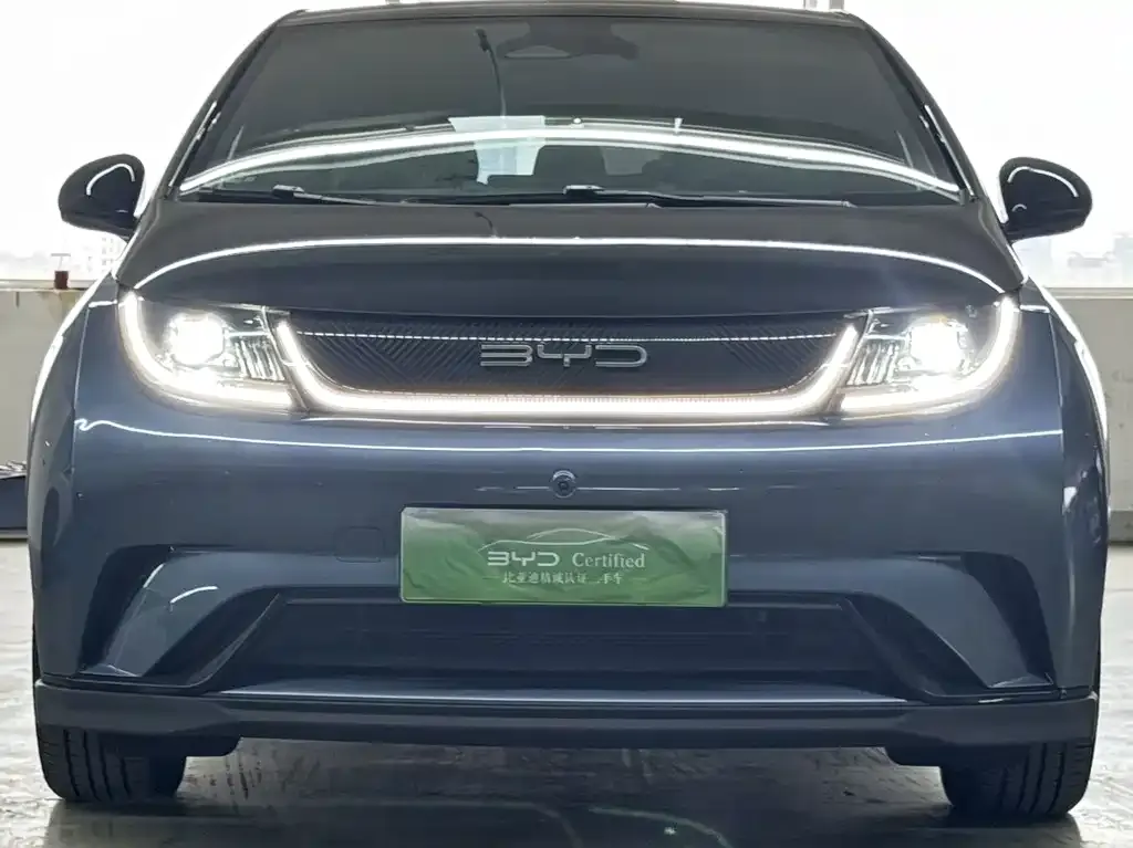 2023 BYD Dolphin 401km Knight