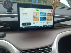 2024 BYD Song Pro Honor DM-i PHEV 71km Navigator, белый — фото 9