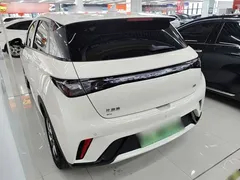 2024 BYD Dolphin Honor 420km Fashion — фото 5