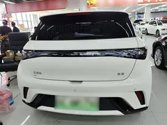2024 BYD Dolphin Honor 420km Fashion — фото 6