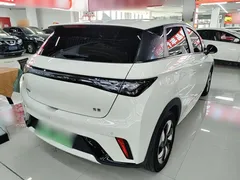 2024 BYD Dolphin Honor 420km Fashion — фото 7
