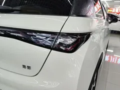 2024 BYD Dolphin Honor 420km Fashion — фото 8