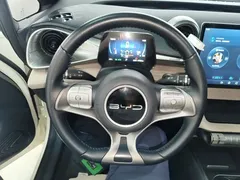 2024 BYD Dolphin Honor 420km Fashion — фото 11