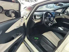 2024 BYD Dolphin Honor 420km Fashion — фото 16