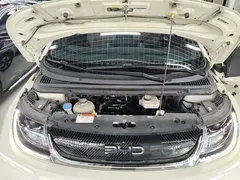 2024 BYD Dolphin Honor 420km Fashion — фото 20