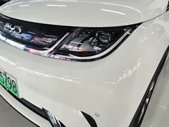2024 BYD Dolphin Honor 420km Fashion — фото 24