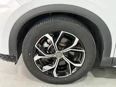 2023 BYD Yuan PLUS EV Champion 430km — фото 4
