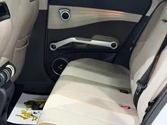 2023 BYD Yuan PLUS EV Champion 430km — фото 15