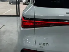 2023 BYD Yuan PLUS EV Champion 430km — фото 17
