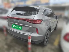 2023 Haval H6 DHT-PHEV 110KM PHEV — фото 6
