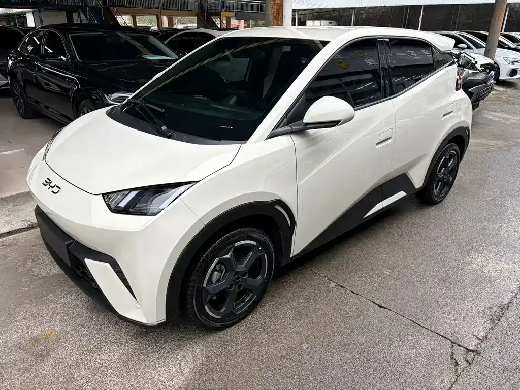 2023 BYD Seagull Freedom