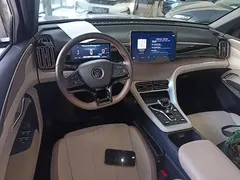 2024 BYD Song Pro Glory Edition DM-i PHEV 110km — фото 10