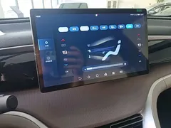 2024 BYD Song Pro Glory Edition DM-i PHEV 110km — фото 13