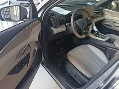 2024 BYD Song Pro Glory Edition DM-i PHEV 110km — фото 16