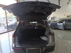 2024 BYD Song Pro Glory Edition DM-i PHEV 110km — фото 19