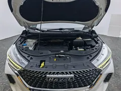 2021 Haval M6 Plus 1.5T DCT Elite, белый — фото 13