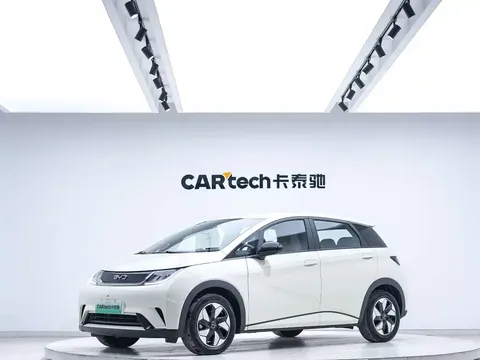 2024 BYD Dolphin Glory 420km Freedom