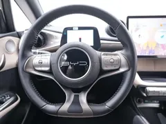 2024 BYD Dolphin Glory 420km Freedom, белый — фото 18