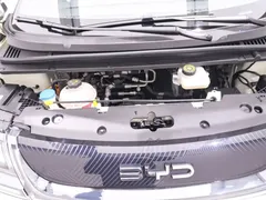 2024 BYD Dolphin Glory 420km Freedom, белый — фото 19
