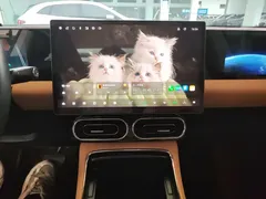 2024 Leapmotor C11 EV 580 Premium — фото 13