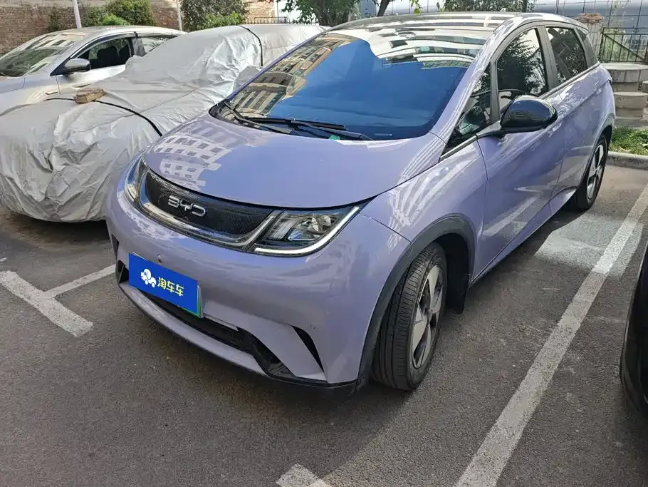 2023 BYD Dolphin 420km Fashion