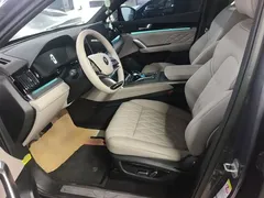 2025 BYD Tang DM-i PHEV 115km Premium — фото 15