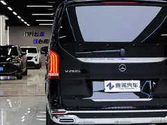 2020 Mercedes-Benz V-Class V 260 L Long Wheelbase Luxury, чёрный — фото 8