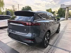 2024 BYD Tang EV 600km Premium — фото 6