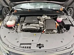 2024 BYD Destroyer 05 DM-i PHEV 55km Luxury — фото 20