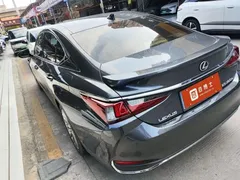2022 Lexus ES 300h Executive — фото 5