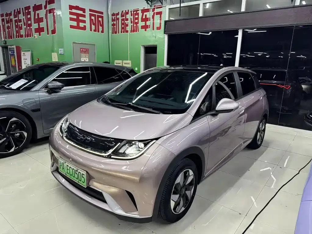 2024 BYD Dolphin Honor 420km Fashion