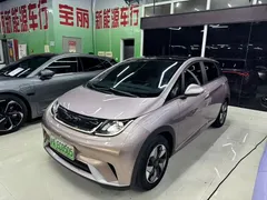 2024 BYD Dolphin Honor 420km Fashion — фото 1