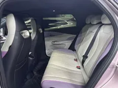 2024 BYD Dolphin Honor 420km Fashion — фото 8